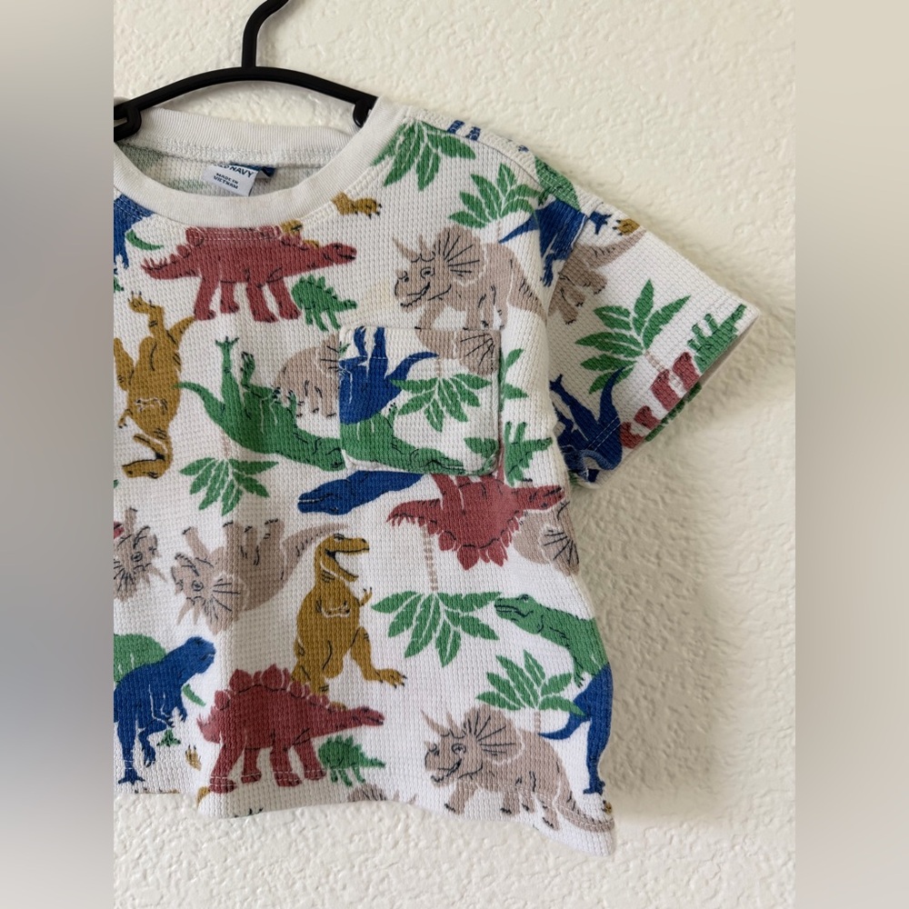 Matching Dinosaur Set - Picture 4 of 11